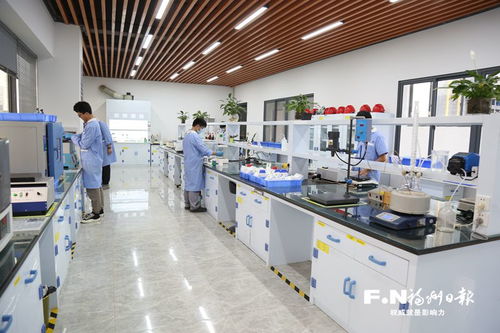 做強非公黨建 引領(lǐng)福州民企向“新”而行