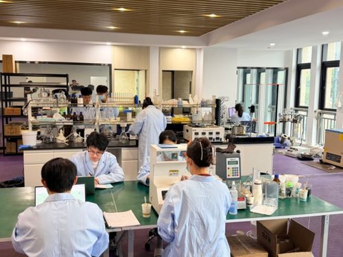 廢棄秸稈變身高端基材 蒼南企業(yè)實現(xiàn)電子專用材料研發(fā)新突破
