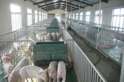 在希望的田野唱響“新農(nóng)歌” 揚(yáng)州張家村畜牧設(shè)備技術(shù)開發(fā)的振興之路